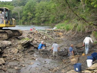 The Iowa Geological Survey discovered the fossils during a mapping project of the Upper Iowa River. Researchers subsequently found at least 20 P. decorahensis individuals, and had to dam the river to safely remove the specimens.