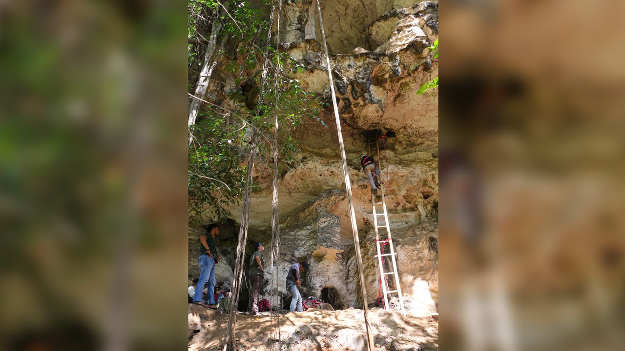 Researchers have discovered what may be the earliest hunting scene in prehistoric art.