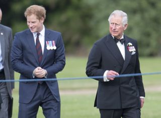 Prince Harry and King Charles stand behind a rope