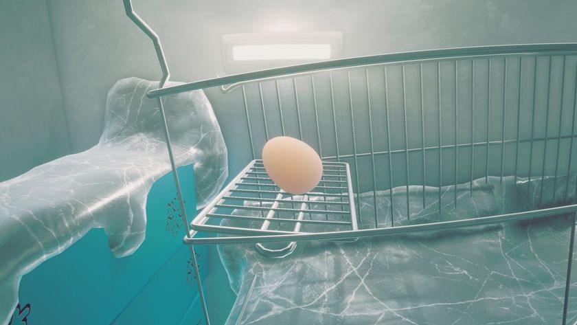 An egg in a freezer, which is a bad place to put eggs.