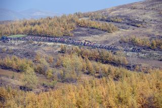 The peloton on stage one of the 2014 Tour of Beijing