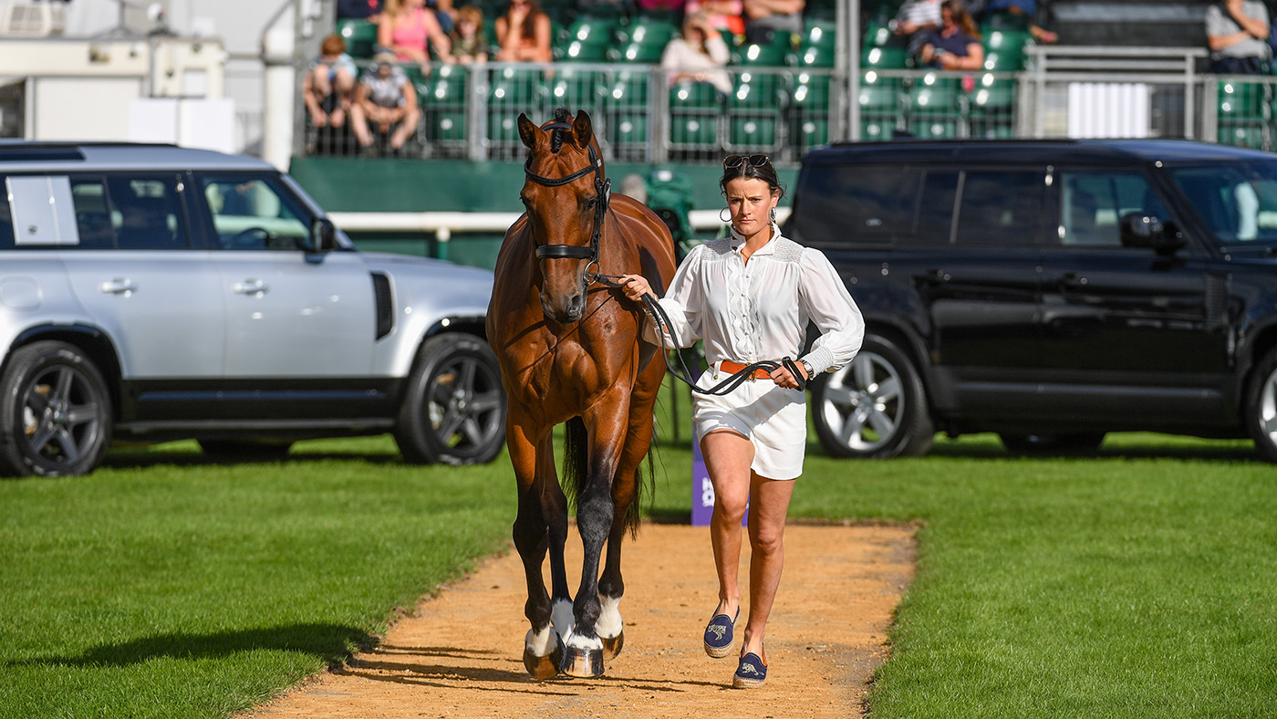Burghley Horse Trials trot-up photos: Bubby Upton