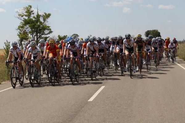 The bunch rolling along in the Spanish sun