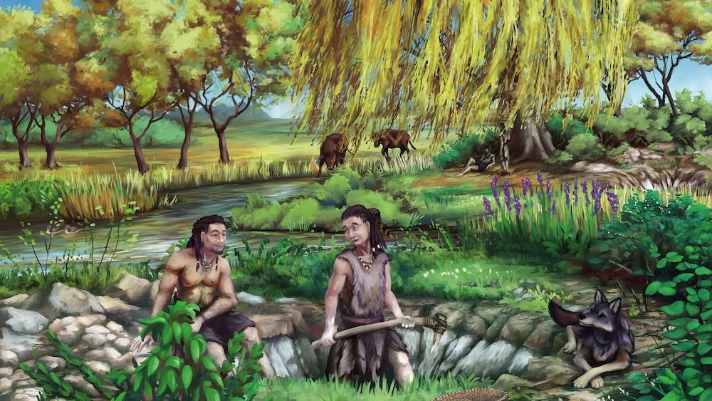 An artist&#039;s drawing of Stone Age man and woman digging a pit. 