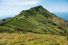 Ascension Island’s Green Mountain is evidence of the successful ‘greening’ project devised by Charles Darwin and Joseph Hooker.