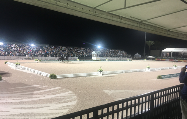 The main dressage arena at the Adequan Global Dressage Festival