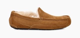 Ugg Ascot men's slipper