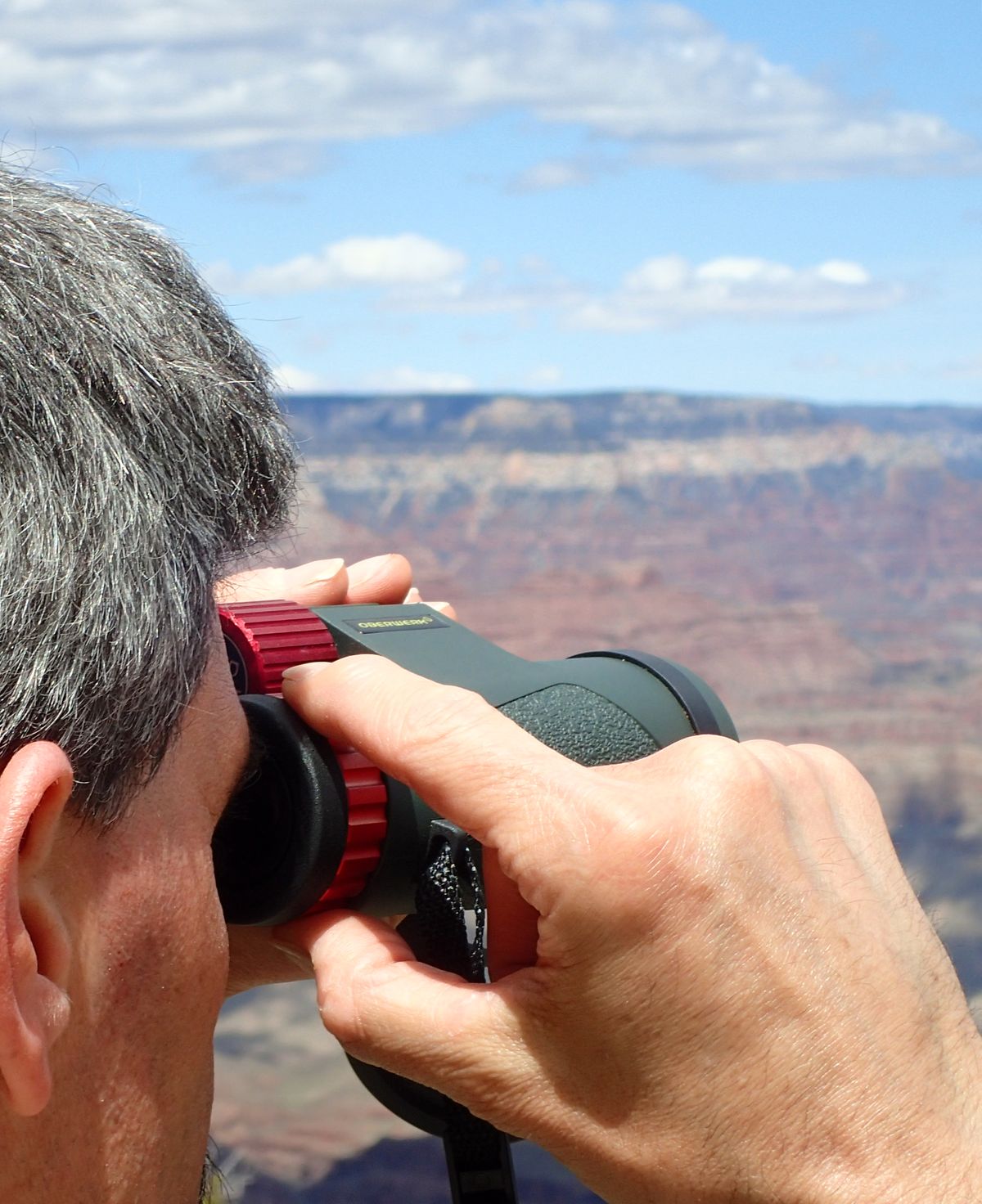 oberwerk 8x42 sport ed