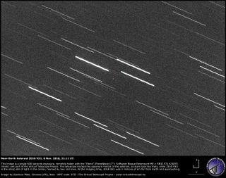 asteroid 2018 VX1 