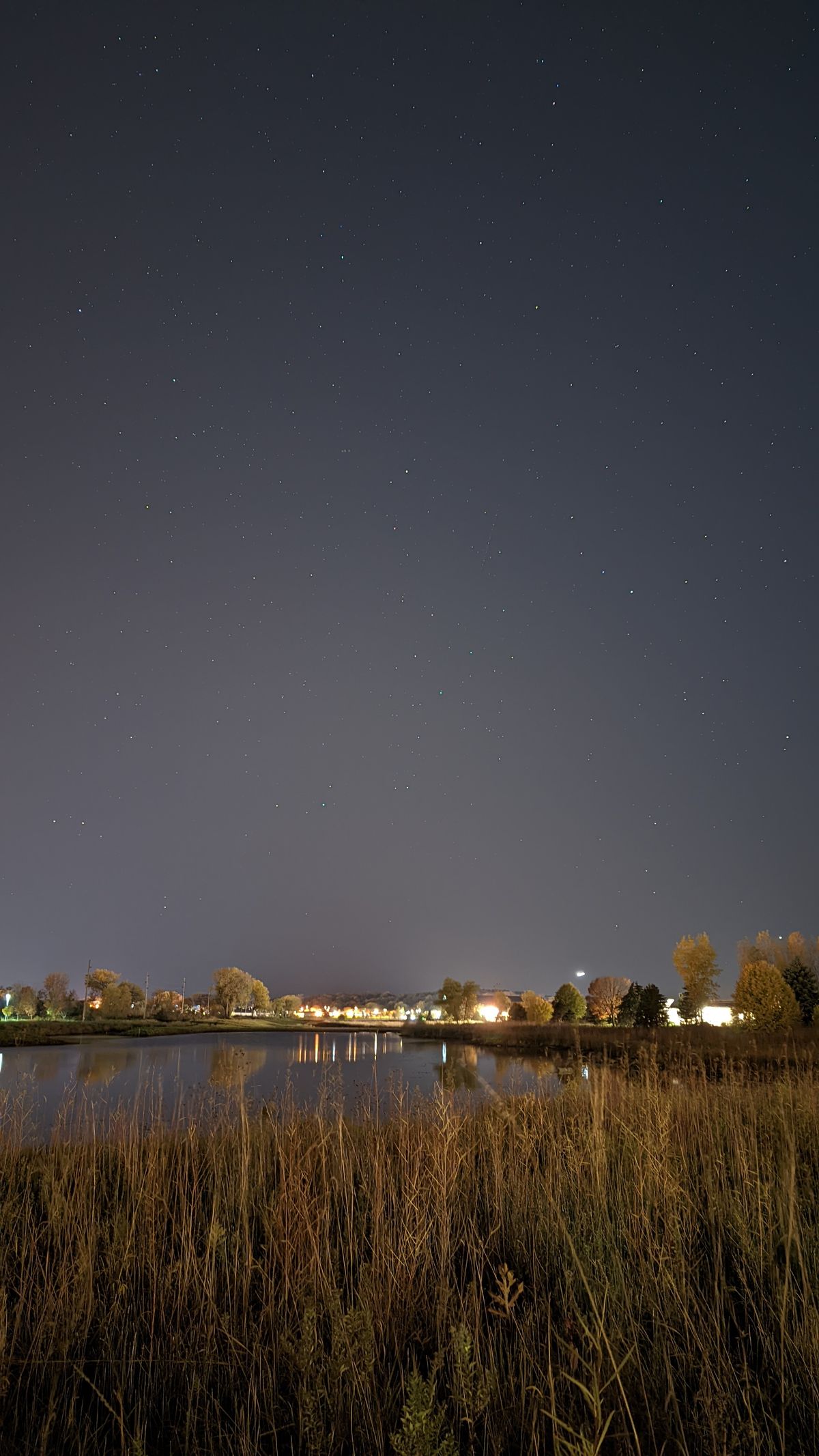 Pixel 6 Pro camera sample