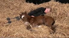 Tracy-Vigors-son2.png