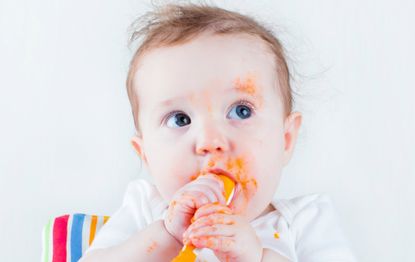 Baby food meal planner weaning 7 - 9 months