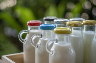 Bottles with fresh milk in a box