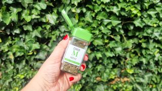 Sprinkling mint in garden