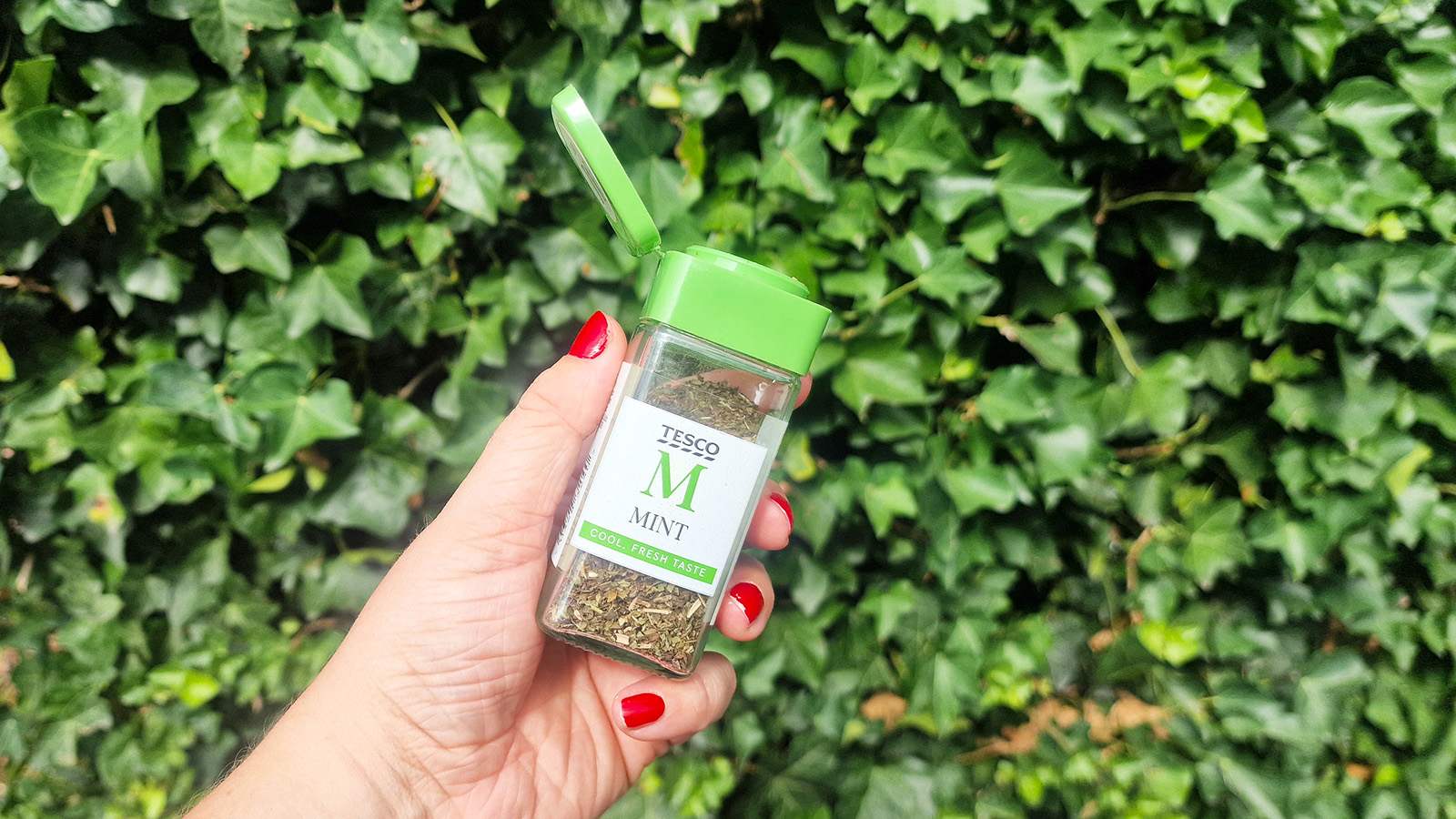 Sprinkling mint in garden