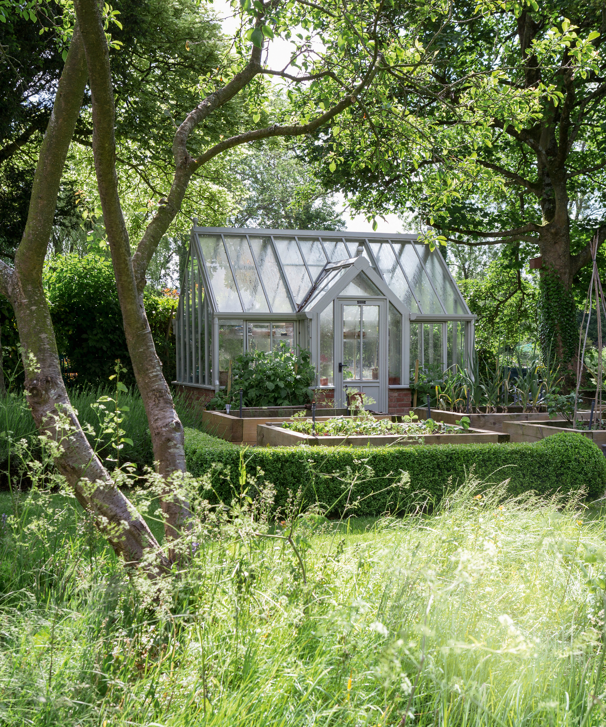 Garden with greenhouse