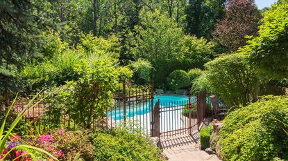 pool with plants and gated fence