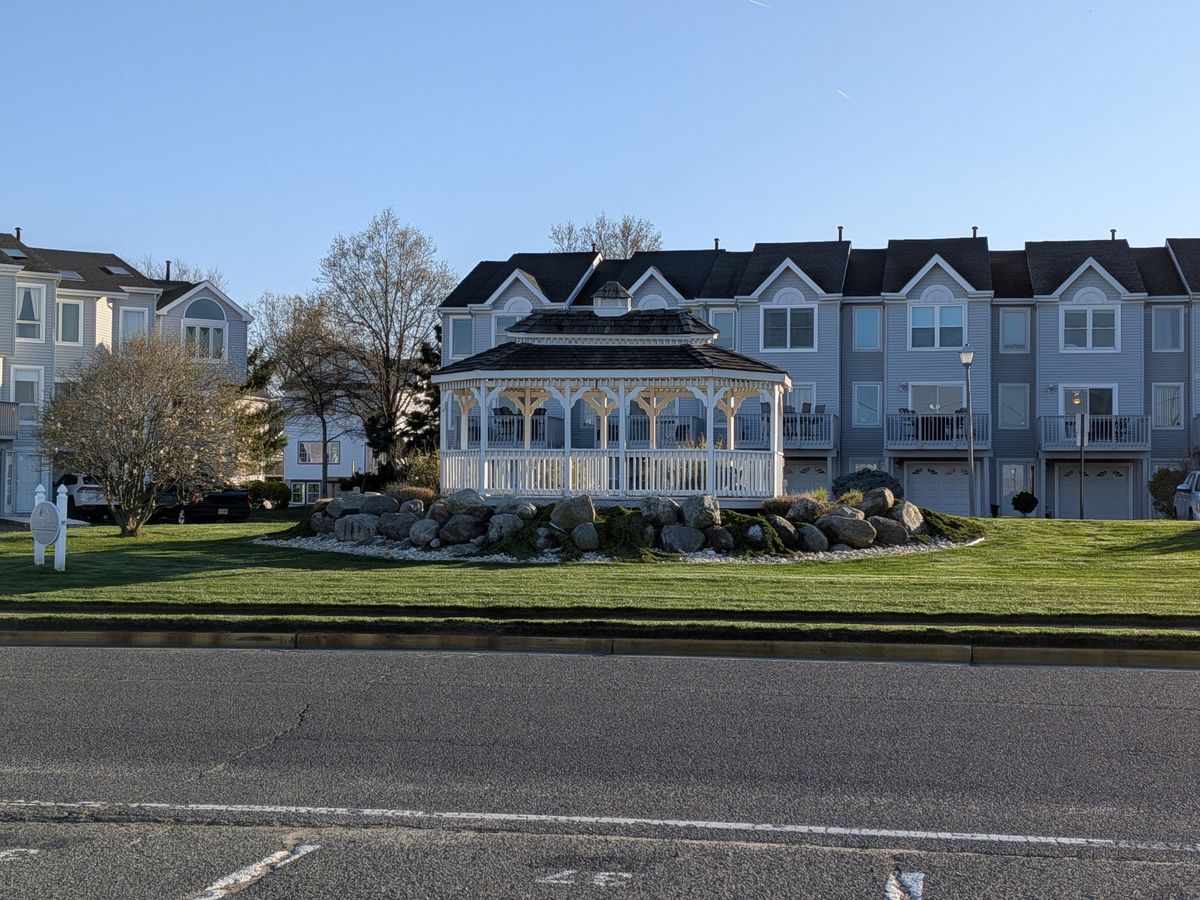 Google Pixel 9a zoom sample.
