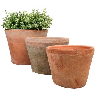 Wayfair terracotta planters