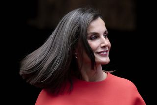 gray hair - queen letizia