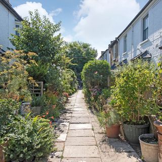 choumert square communal gardens