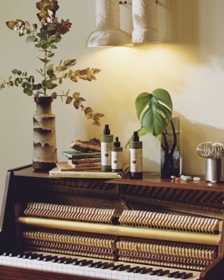 A piano decorated with houseplants and plant care bottles