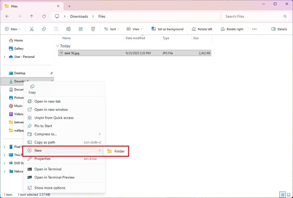 File Explorer left pane New option