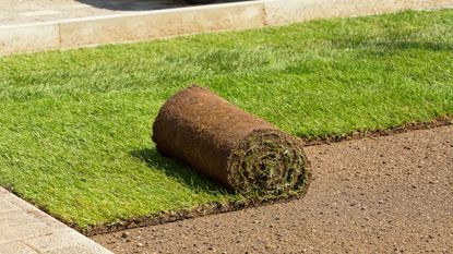A roll of turf is being laid to create a new lawn
