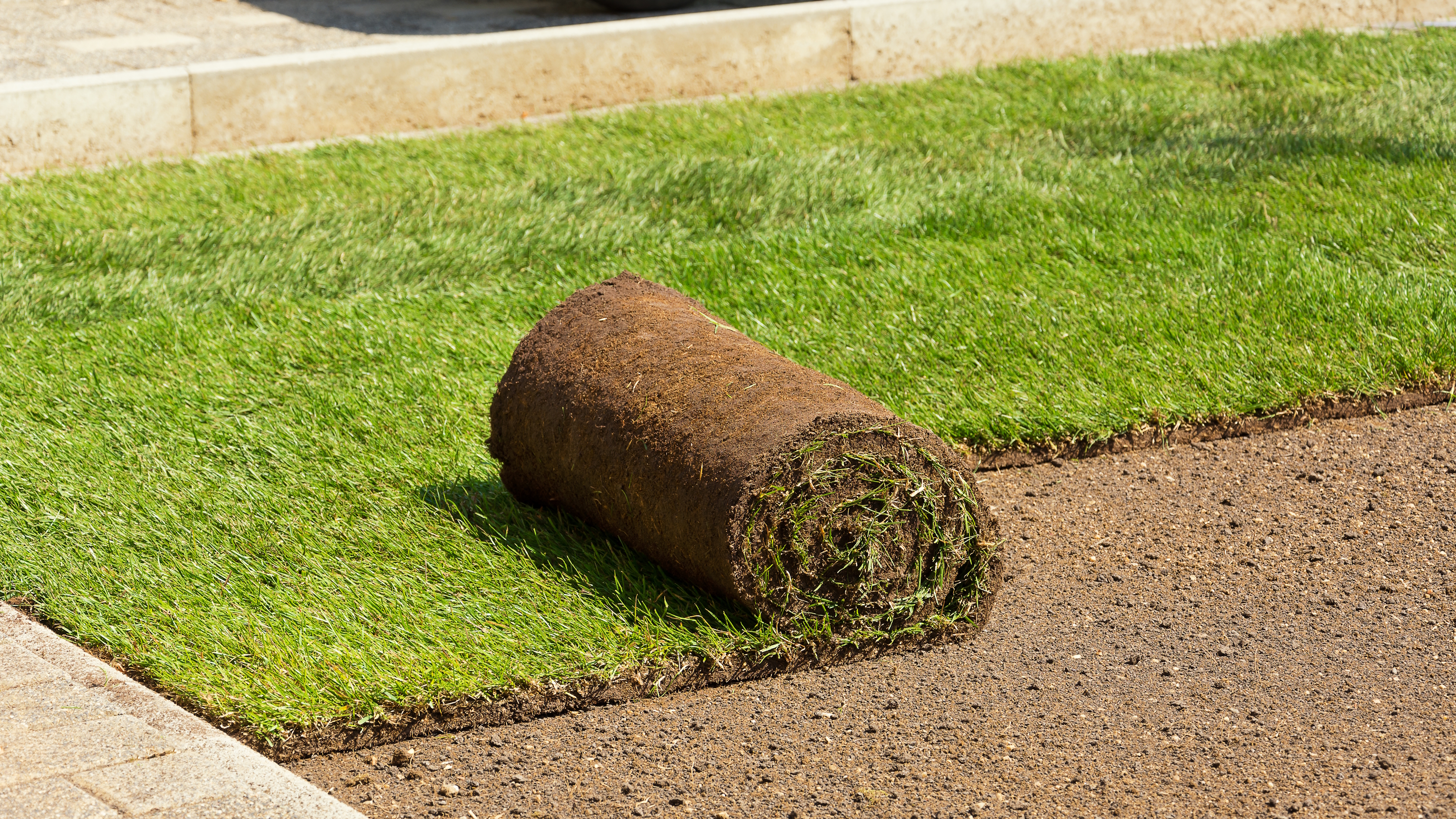 A roll of turf is being laid to create a new lawn