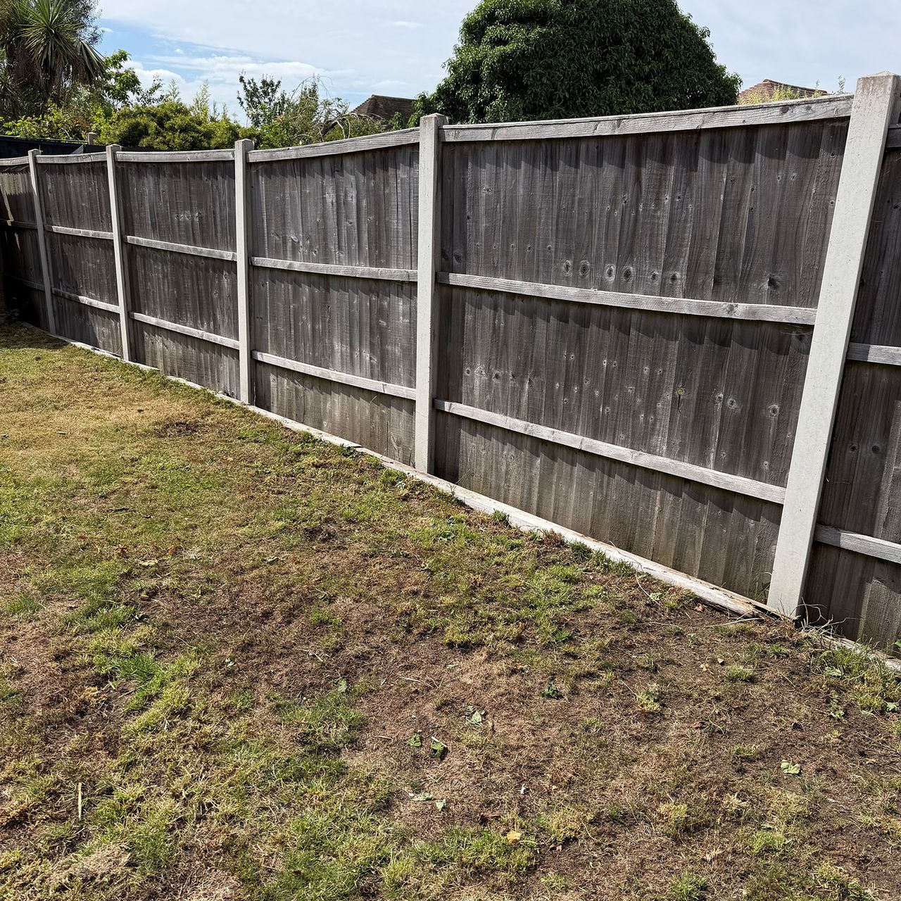 Lawn in garden surrounded by wooden fence