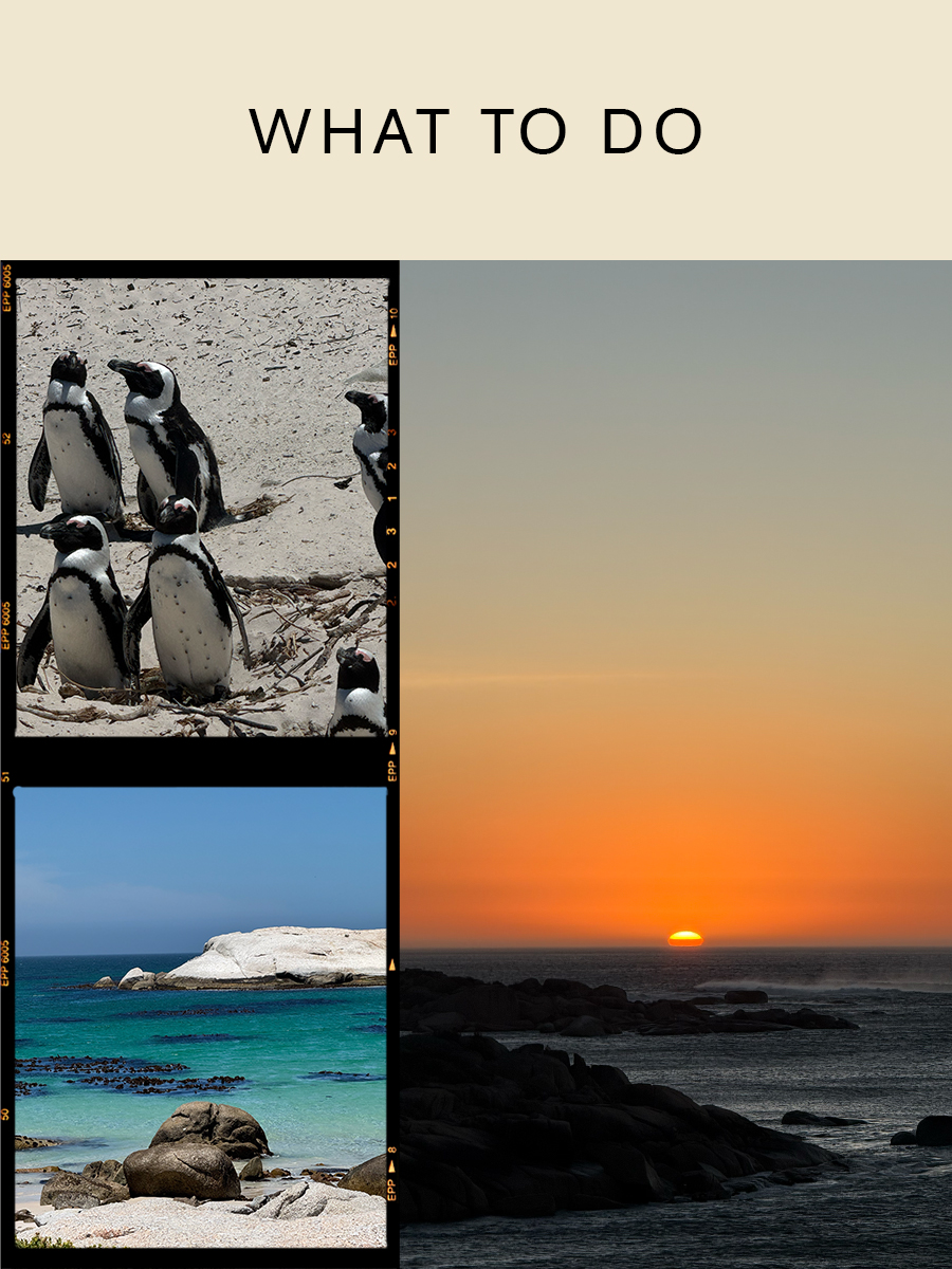 Collage of images taken in Cape Town