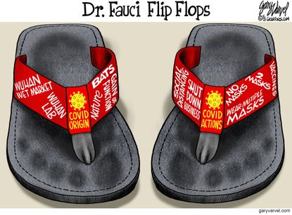 Fauci's new footwear