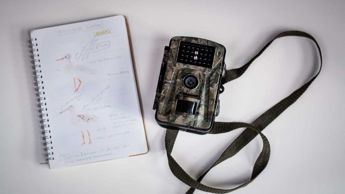 How to set up a trail camera 3 essential steps T3
