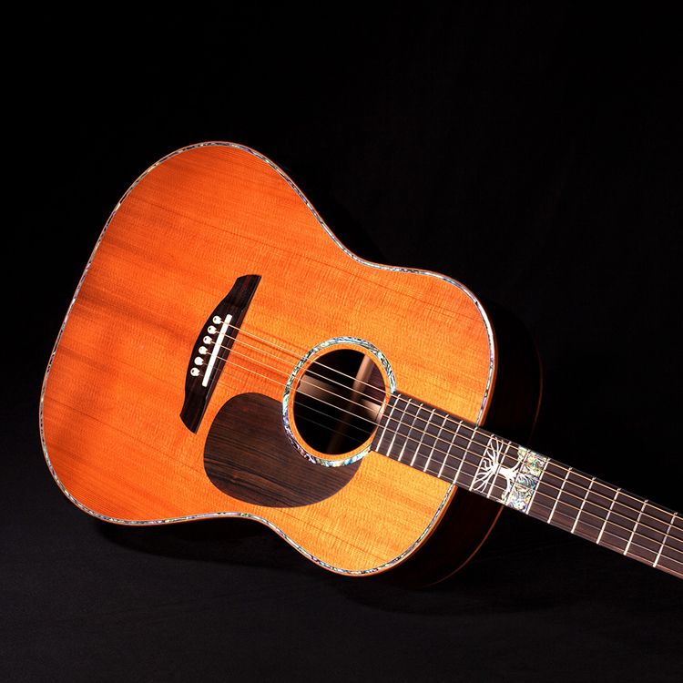 Faith Guitars The Twenty Legacy guitars