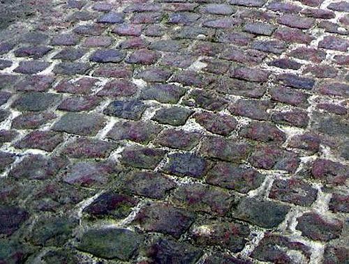 Typical Pav&eacute; du Nord riders will have to deal with 52.7 km of this stuff.