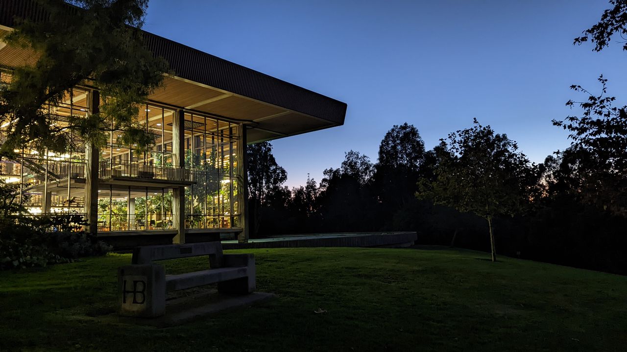 Google Pixel 6 camera samples