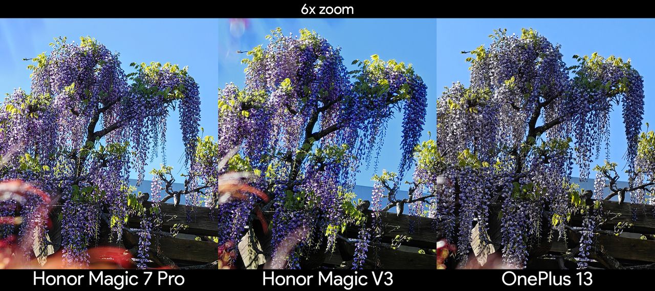 Comparing zoom detail between the Honor Magic V3, Honor Magic 7 Pro, and OnePlus 13 at 6x with a patch of Wisteria flowers