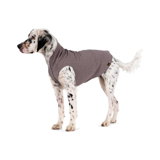 Dog wearing a grey Gold Paw Stretch Fleece, one of the best dog coats