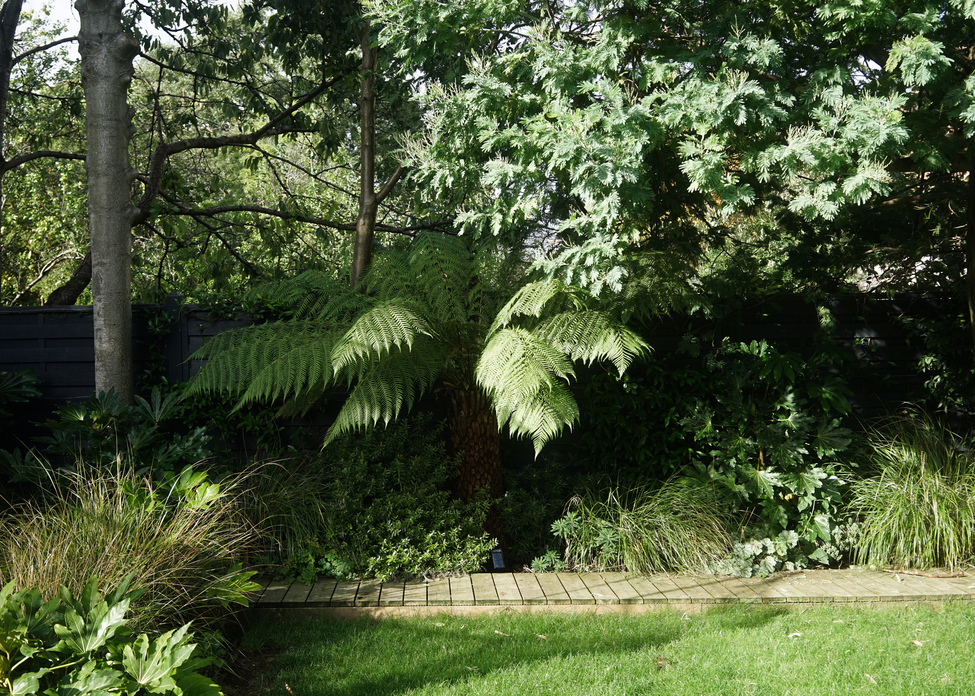 Trees, shrubs and different layers of planting