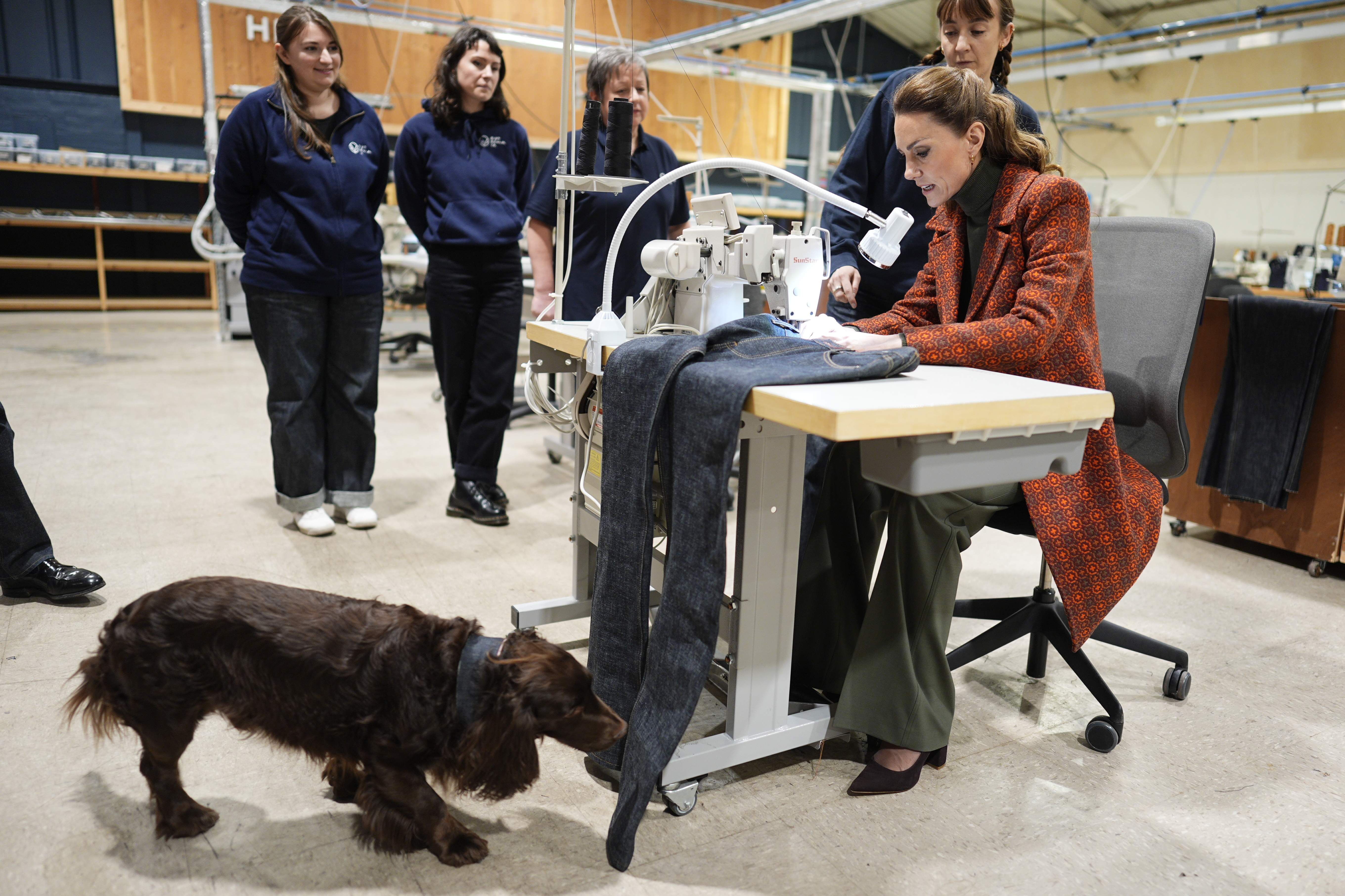 Princess Kate sewing jeans on a machine with a dog sniffing at the hems
