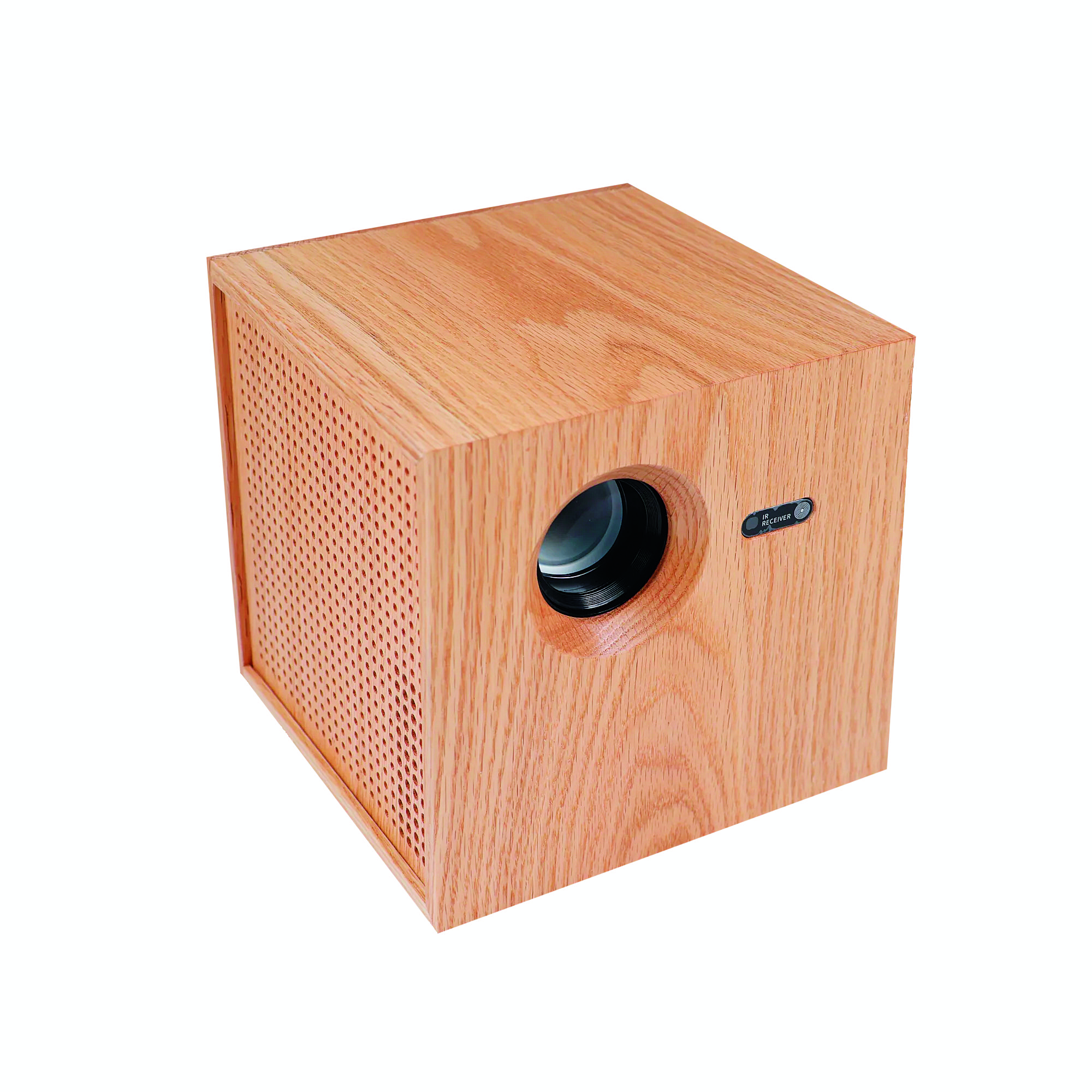 Projector