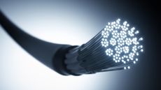 A black fibre optic cable with glowing white tips