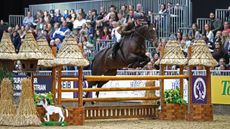 HOYS 153cm working hunter pony