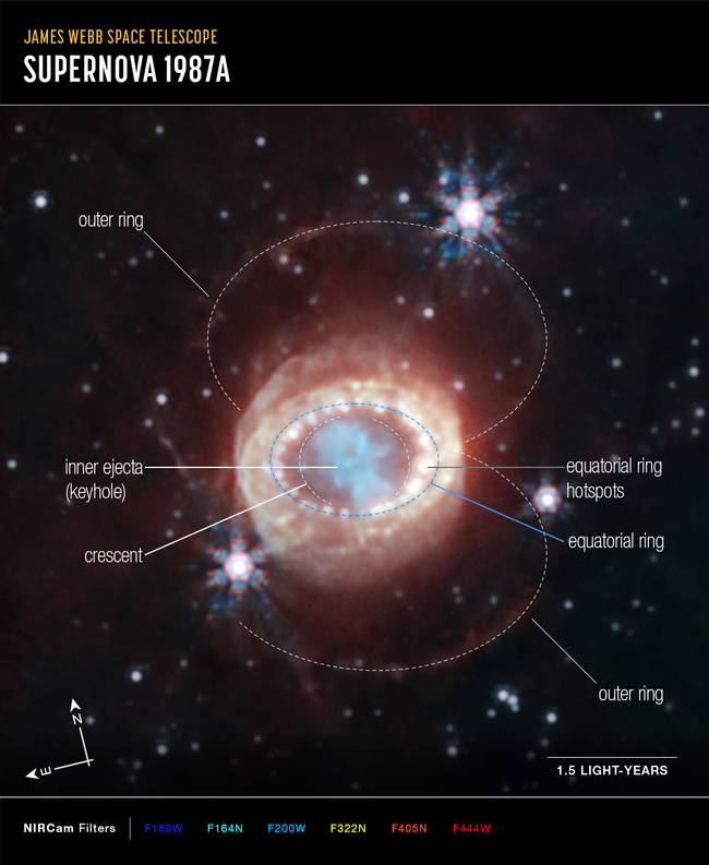 James Webb Space Telescope Shares Stunning View Of A Supernova's ...