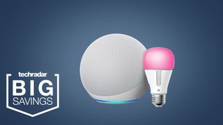Amazon Echo Dot and TP Link smart light bundle on a blue background