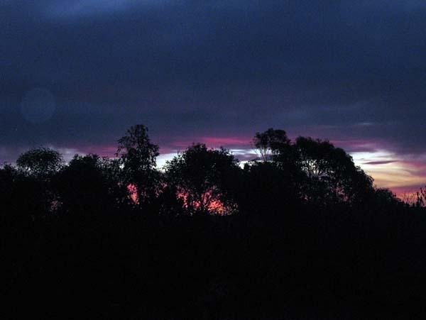 Evening in Australia