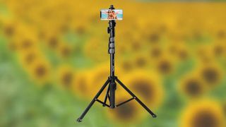 Fugetek 51″ Professional Selfie Stick & Tripod on a background of out-of-focus sunflowers