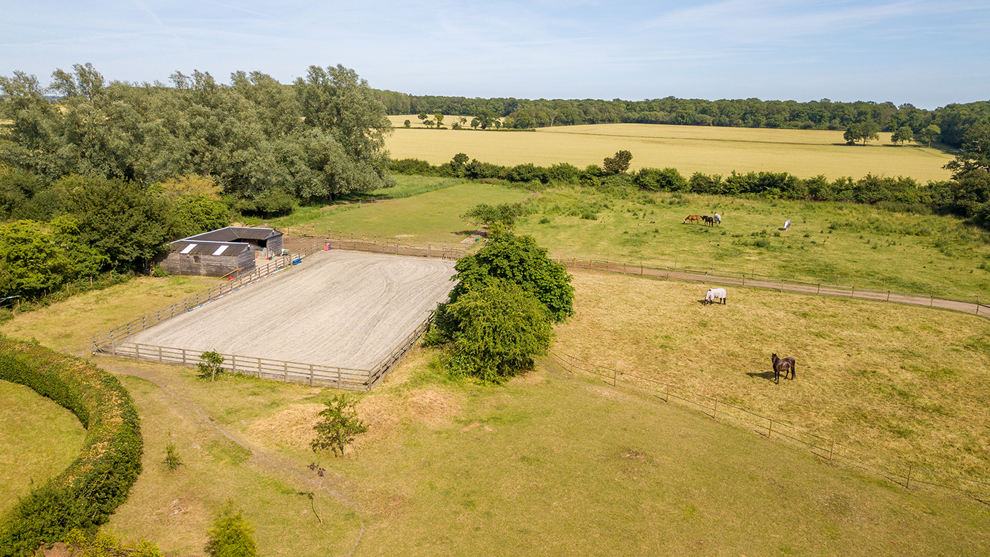 The Old Stud Farm, field, jackson-stops
