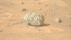 Image of a striped rock captured by NASA's Perseverance rover on Mars. The rock lies on dusty, sandy ground.