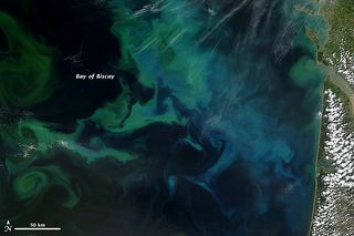 NASA's Terra satellite captured this natural-color image of phytoplankton blooms on May 4, 2013, in France's Bay of Biscay.